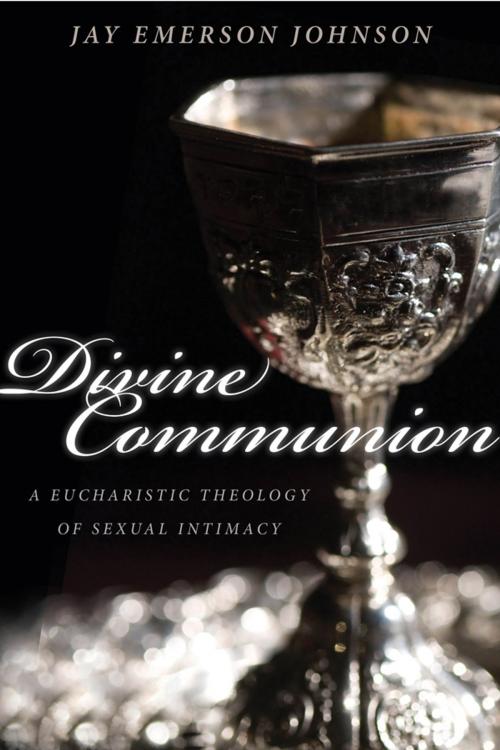 Cover of the book Divine Communion by Jay Emerson Johnson, Church Publishing Inc.