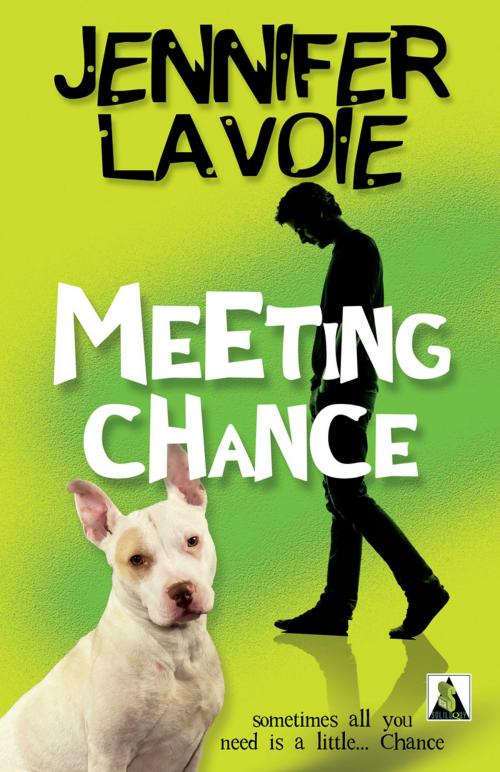 Cover of the book Meeting Chance by Jennifer Lavoie, Bold Strokes Books, Inc.