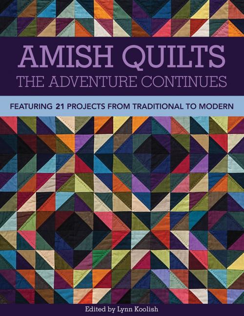 Cover of the book Amish Quilts—The Adventure Continues by , C&T Publishing