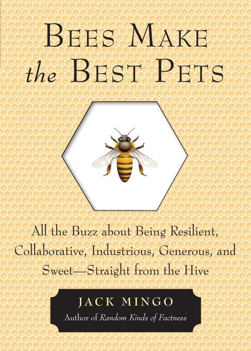 Cover of the book Bees Make the Best Pets by Jack Mingo, Red Wheel Weiser