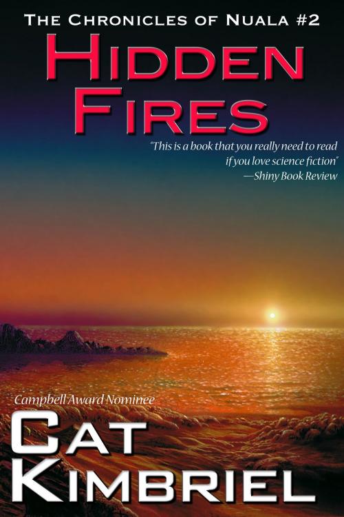 Cover of the book Hidden Fires by Katharine Eliska Kimbriel, Cat Kimbriel, Book View Cafe
