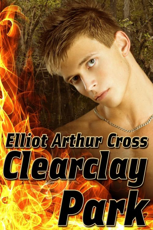 Cover of the book Clearclay Park by Elliot Arthur Cross, Queerteen Press