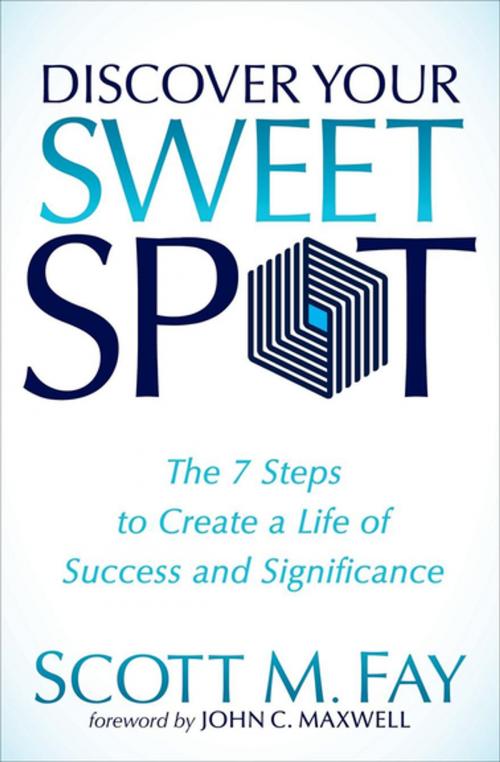 Cover of the book Discover Your Sweet Spot by Scott M. Fay, Morgan James Publishing