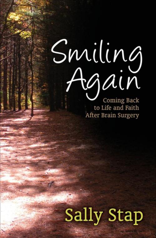 Cover of the book Smiling Again by Sally Stap, Morgan James Publishing