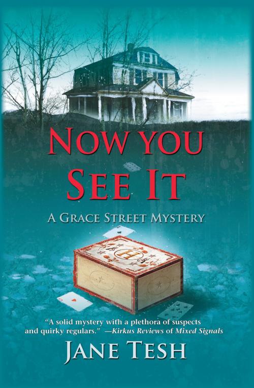 Cover of the book Now You See it by Jane Tesh, Sourcebooks