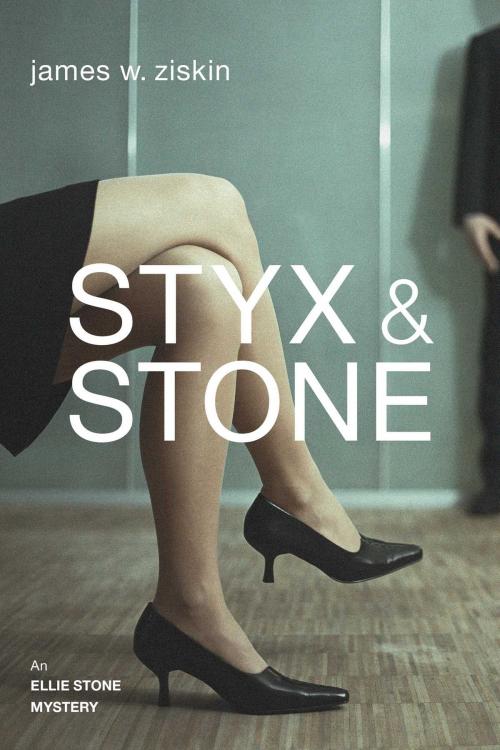 Cover of the book Styx & Stone by James W. Ziskin, Seventh Street Books