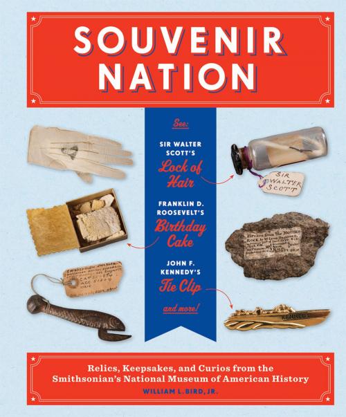 Cover of the book Souvenir Nation by William L. Bird Jr., Princeton Architectural Press