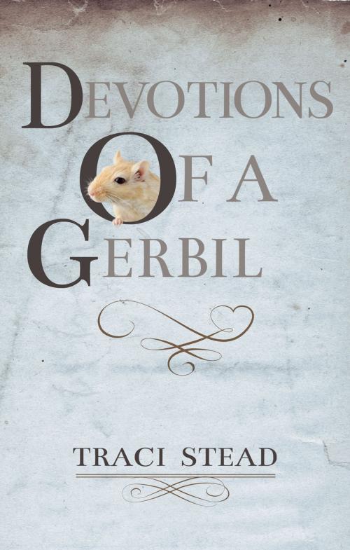 Cover of the book Devotions of A Gerbil by Traci Stead, Ambassador International