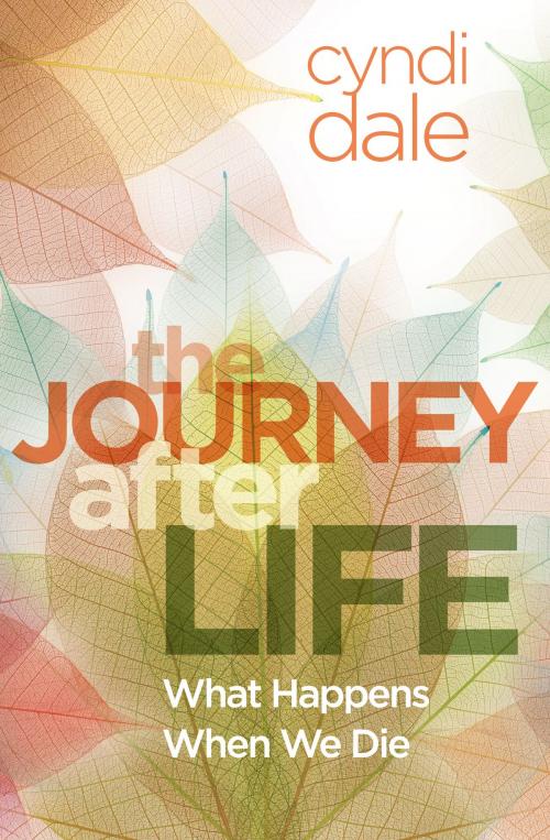 Cover of the book The Journey After Life by Cyndi Dale, Sounds True