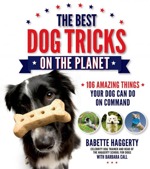 Cover of the book The Best Dog Tricks on the Planet by Babette Haggerty, Barbara Call, Page Street Publishing