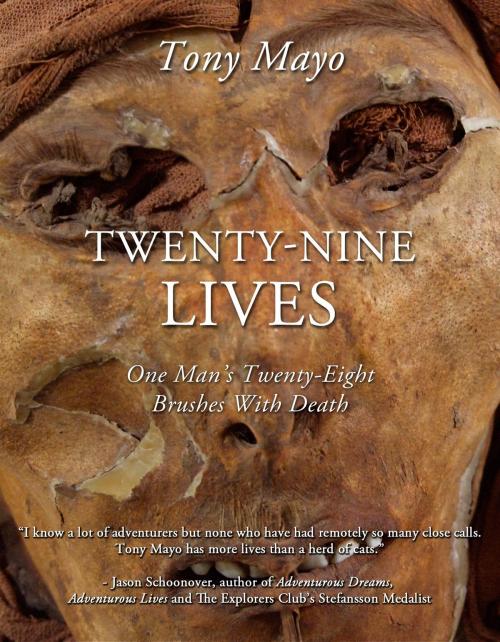 Cover of the book Twenty-Nine Lives by Tony Mayo, Publish Green