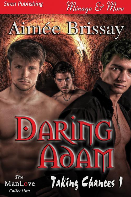 Cover of the book Daring Adam by Aimee Brissay, Siren-BookStrand