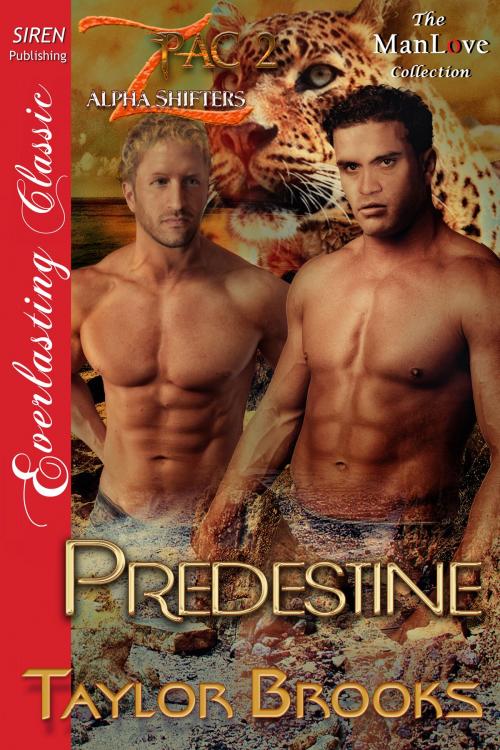 Cover of the book Predestine by Taylor Brooks, Siren-BookStrand