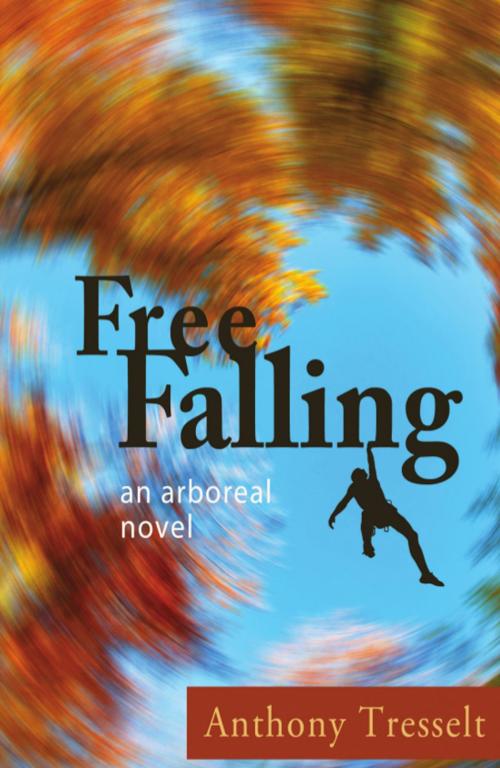 Cover of the book Free Falling by Anthony Tresselt, Wheatmark