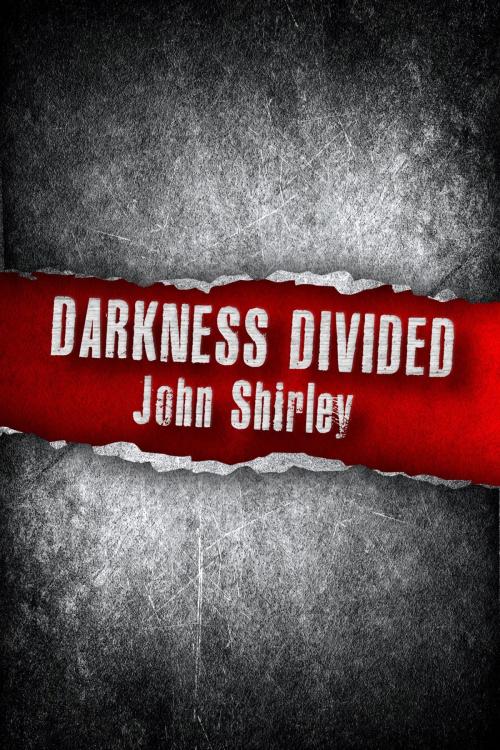 Cover of the book Darkness Divided by John Shirley, Night Shade Books