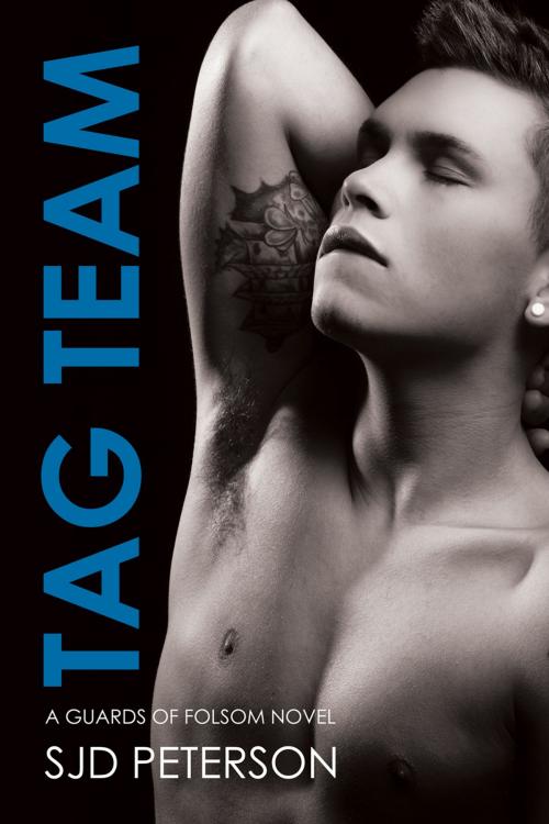 Cover of the book Tag Team by SJD Peterson, Dreamspinner Press