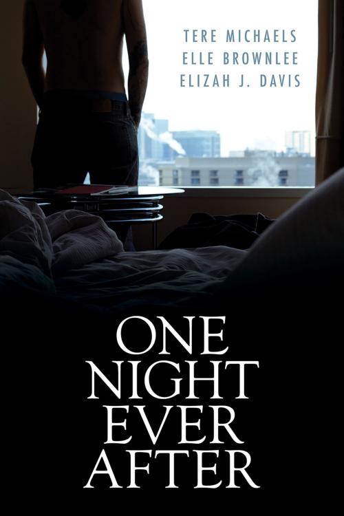 Cover of the book One Night Ever After by Tere Michaels, Elizah J. Davis, Elle Brownlee, Dreamspinner Press