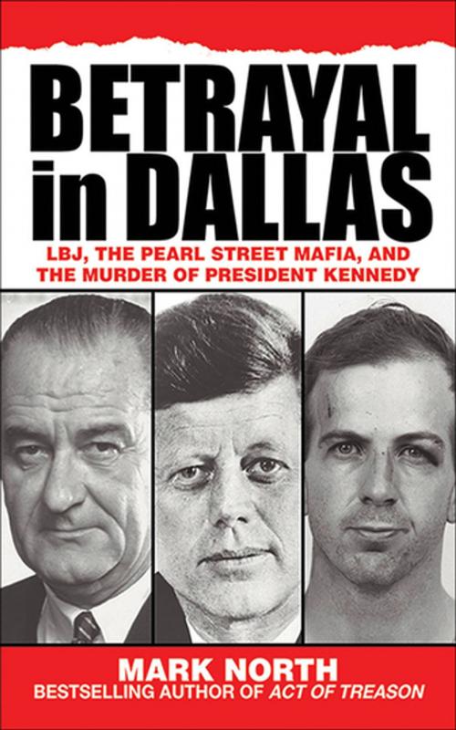 Cover of the book Betrayal in Dallas by Mark North, Skyhorse Publishing