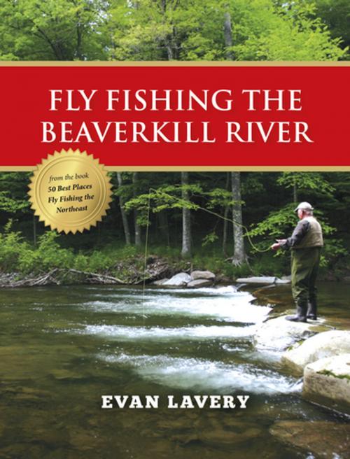 Cover of the book Fly Fishing the Beaverkill River by Evan Lavery, Stonefly Press