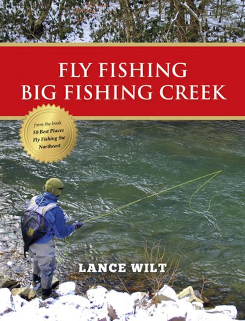 Cover of the book Fly Fishing Big Fishing Creek by Lance Wilt, Stonefly Press