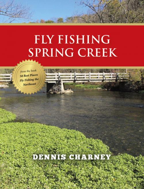 Cover of the book Fly Fishing Spring Creek by Dennis Charney, Stonefly Press