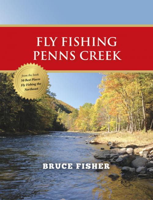 Cover of the book Fly Fishing Penns Creek by Bruce Fisher, Stonefly Press