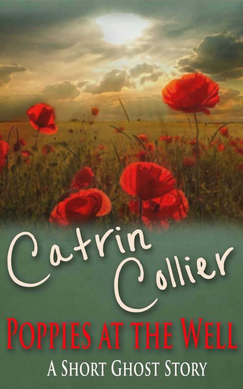 Cover of the book Poppies at the Well by Catrin Collier, Accent Press