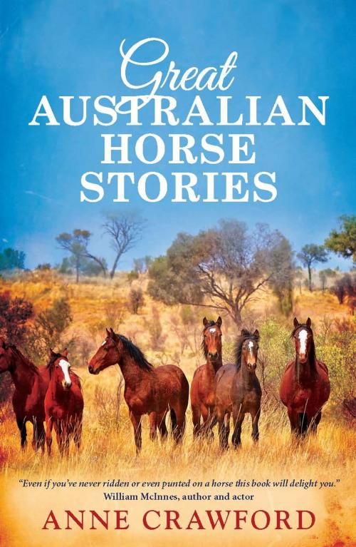 Cover of the book Great Australian Horse Stories by Anne Crawford, Allen & Unwin