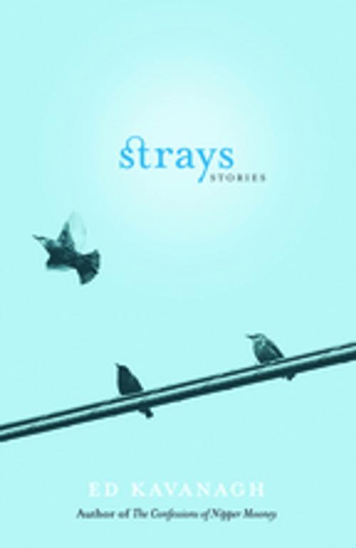 Cover of the book Strays by Ed Kavanagh, Breakwater Books Ltd.