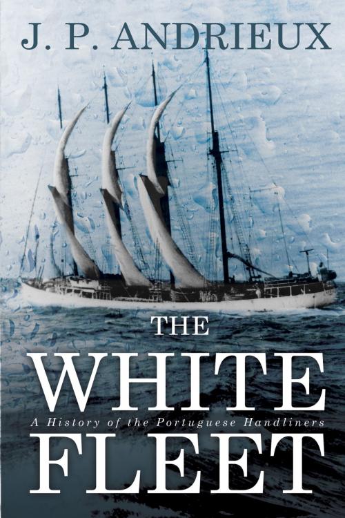 Cover of the book The White Fleet by J. P. Andrieux, Flanker Press