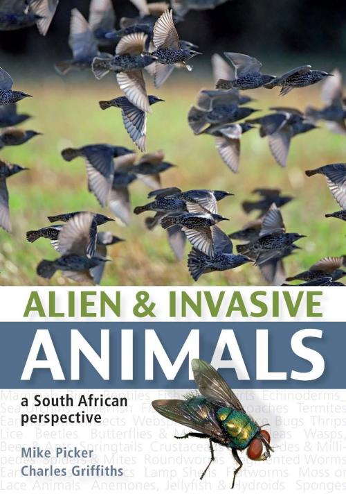 Cover of the book Alien and Invasive Animals by Mike Picker, Penguin Random House South Africa