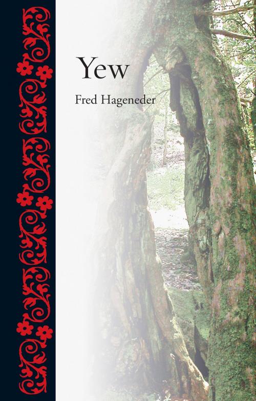 Cover of the book Yew by Fred Hageneder, Reaktion Books