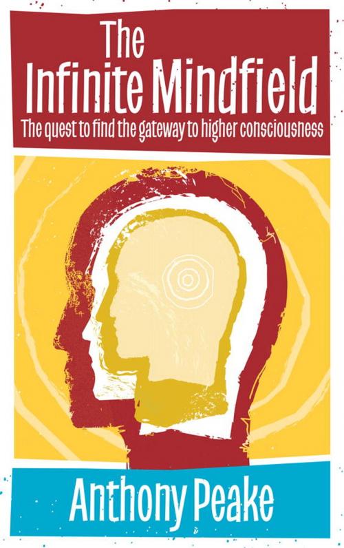 Cover of the book The Infinite Mindfield by Anthony Peake, Watkins Media
