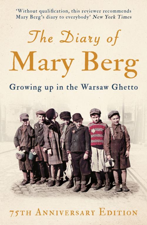 Cover of the book The Diary of Mary Berg by , Oneworld Publications