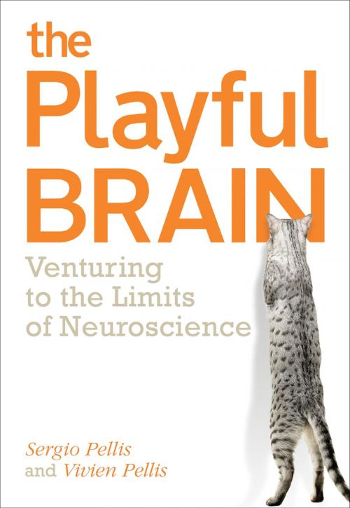 Cover of the book The Playful Brain by Sergio Pellis, Vivien Pellis, Oneworld Publications