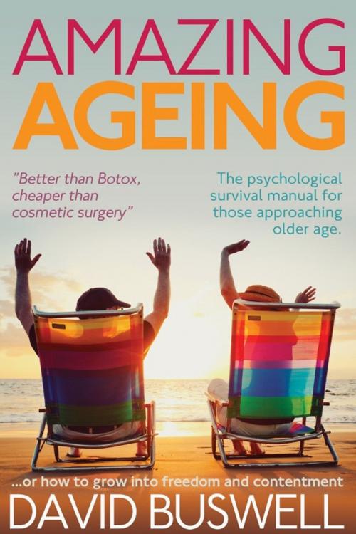 Cover of the book Amazing Ageing by David Buswell, Andrews UK