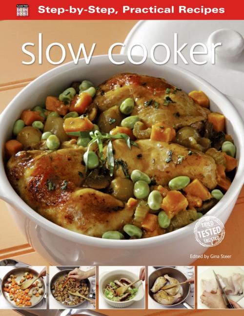 Cover of the book Slow Cooker by Gina Steer, Flame Tree Publishing