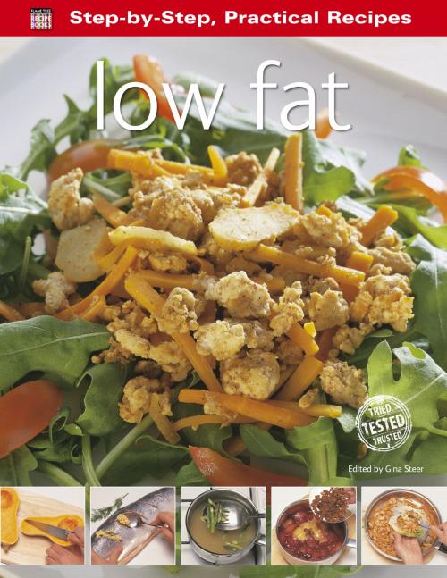 Cover of the book Low Fat by Gina Steer, Flame Tree Publishing