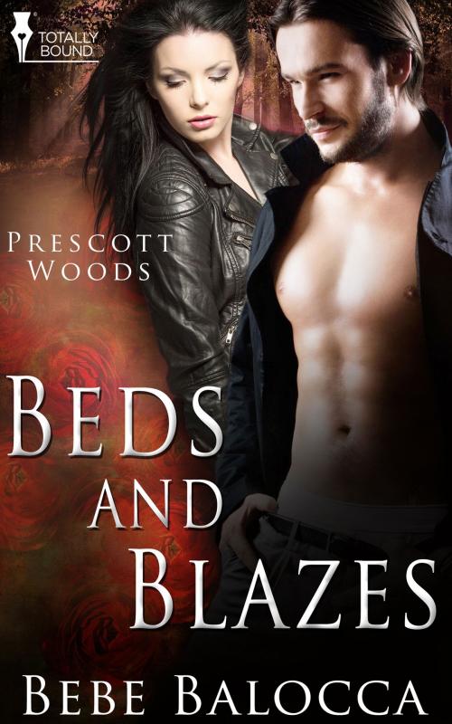 Cover of the book Beds and Blazes by Bebe Balocca, Totally Entwined Group Ltd