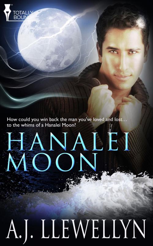 Cover of the book Hanalei Moon by A.J. Llewellyn, Totally Entwined Group Ltd