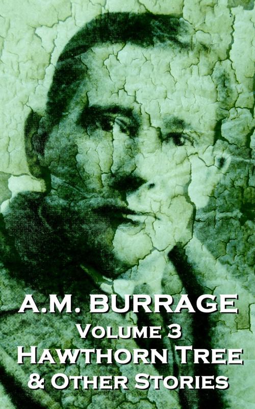 Cover of the book The Hawthorn Tree & Other Stories by AM Burrage, Deadtree Publishing