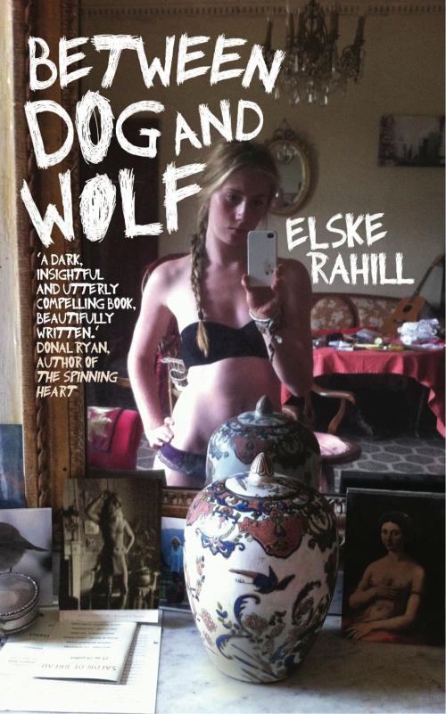 Cover of the book Between Dog and Wolf by Elske Rahill, The Lilliput Press