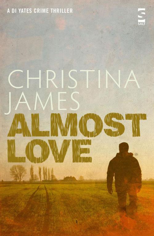 Cover of the book Almost Love by Christina James, Salt Publishing Limited