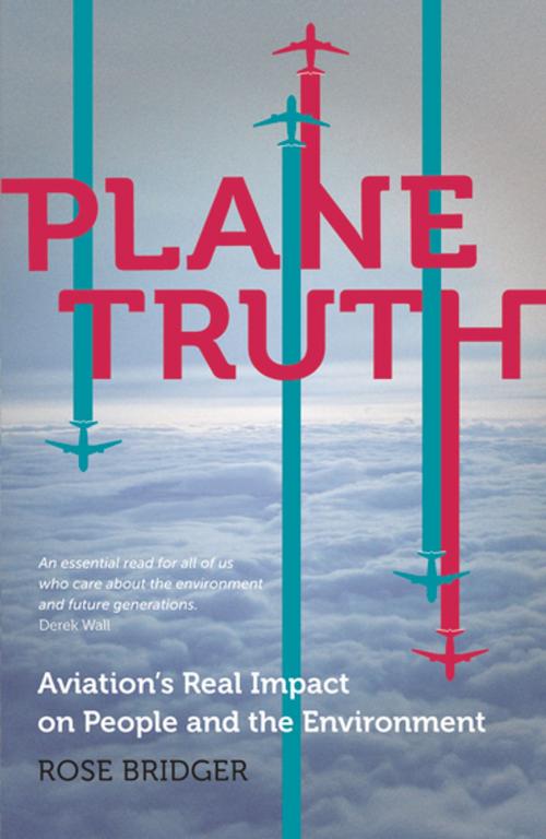 Cover of the book Plane Truth by Rose Bridger, Pluto Press
