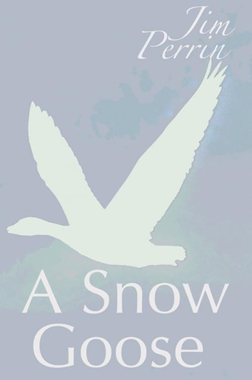 Cover of the book A Snow Goose by Jim Perrin, Cinnamon Press