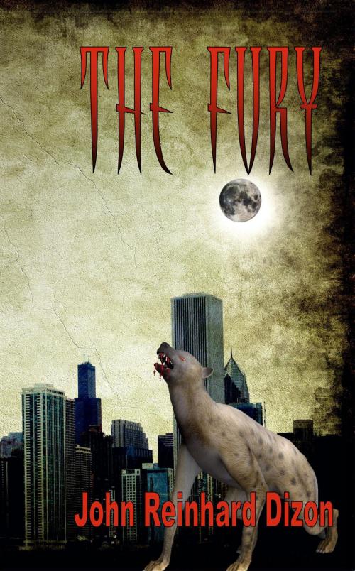 Cover of the book The Fury by John Reinhard Dizon, Mirador Publishing