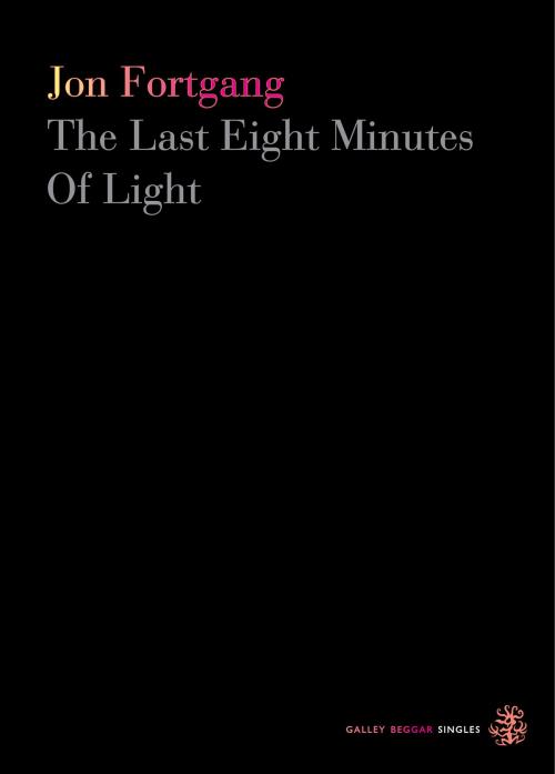 Cover of the book The Last Eight Minutes Of Light by Jon Fortgang, Galley Beggar Press