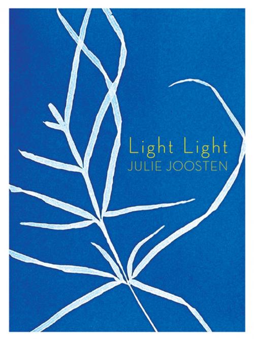Cover of the book Light Light by Julie Joosten, BookThug