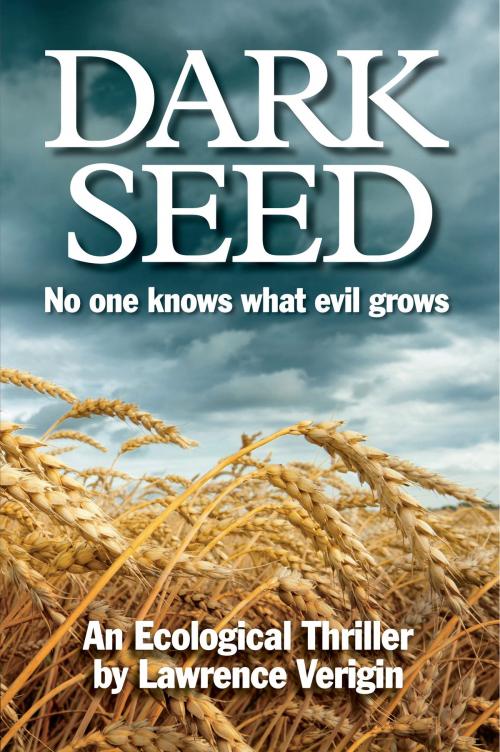 Cover of the book Dark Seed by Lawrence Verigin, Promontory Press Inc.