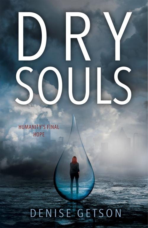 Cover of the book Dry Souls by Denise Getson, CBAY Books